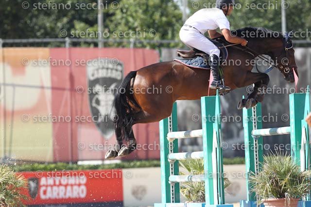 METRANGOLO_GREAT QUALITY_ECC_2011_SS3_8622.jpg